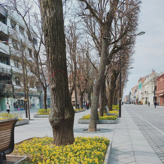 Iliustracija