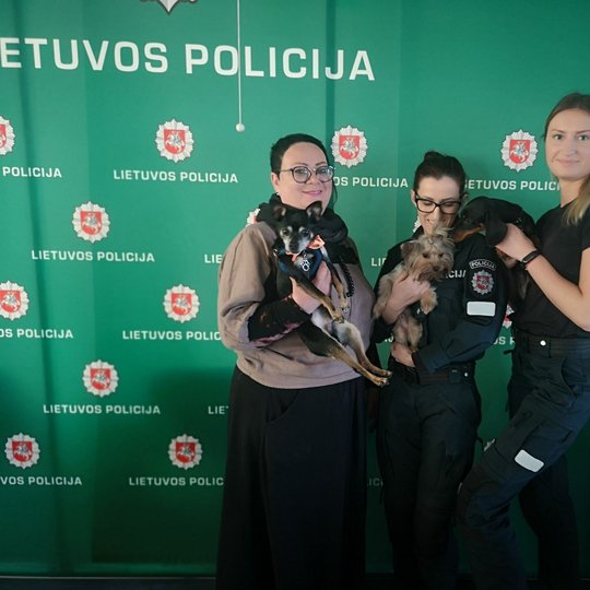 Iliustracija