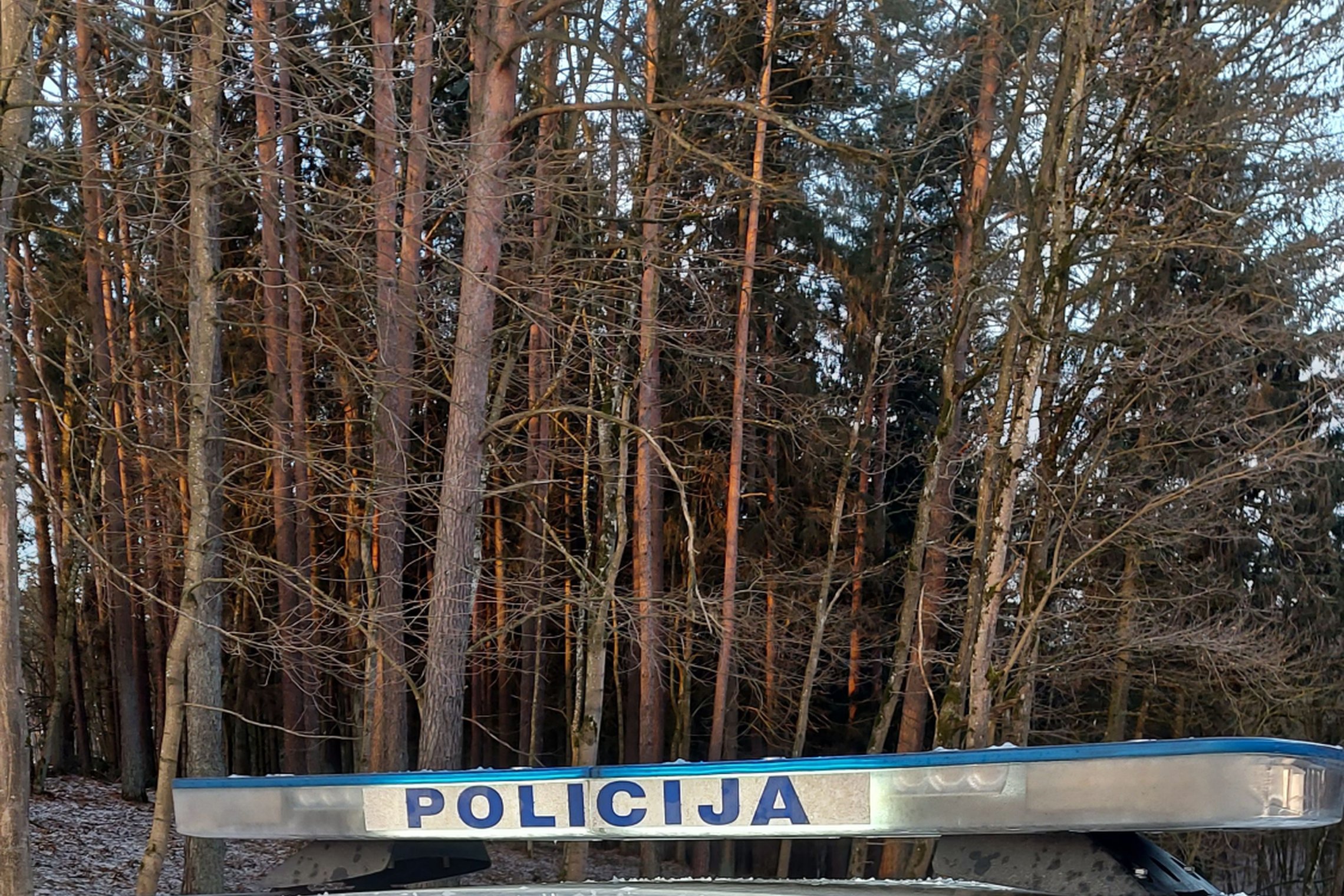 Iliustracija