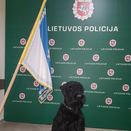 Iliustracija