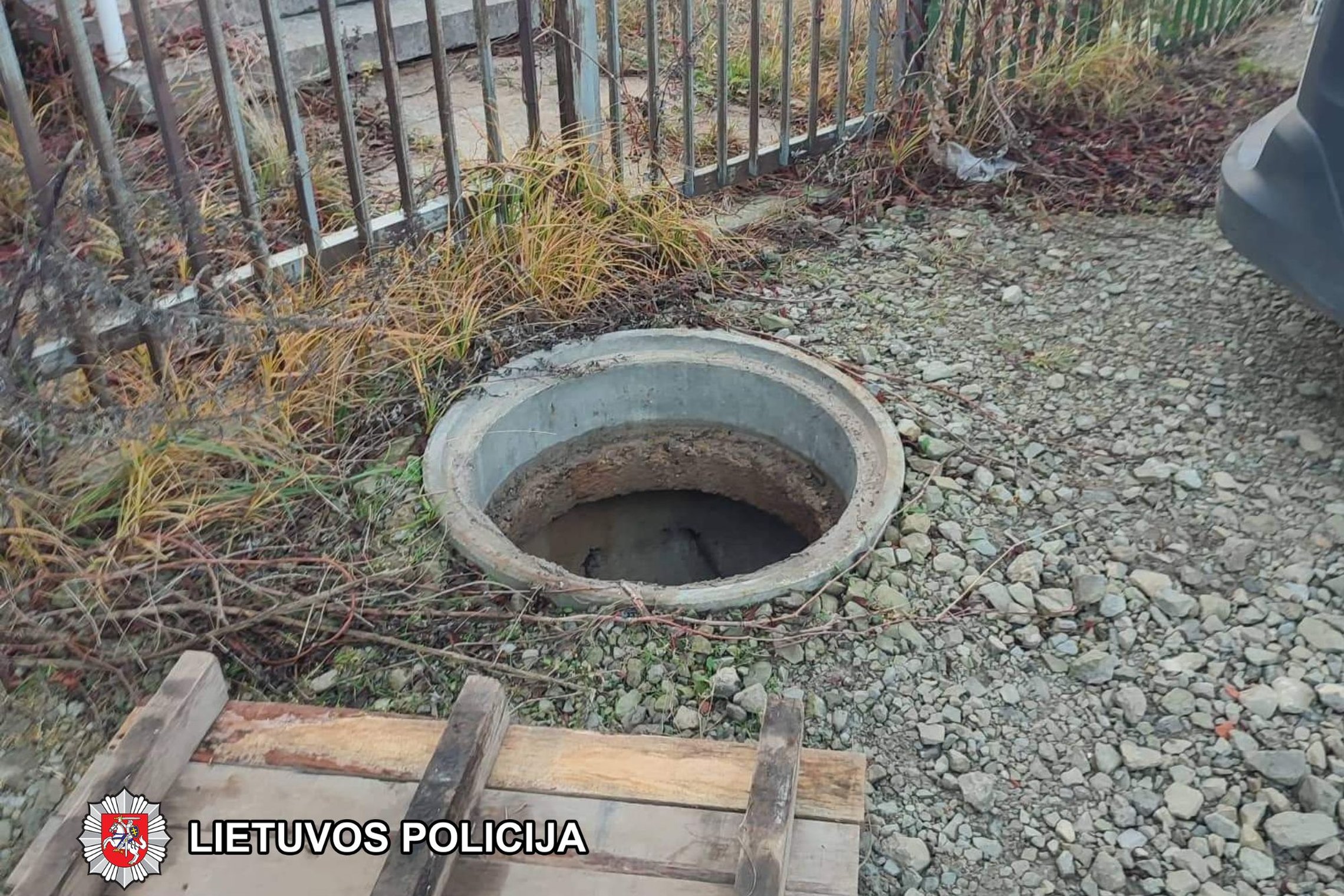 Iliustracija