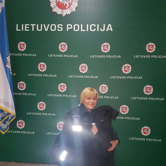 Iliustracija