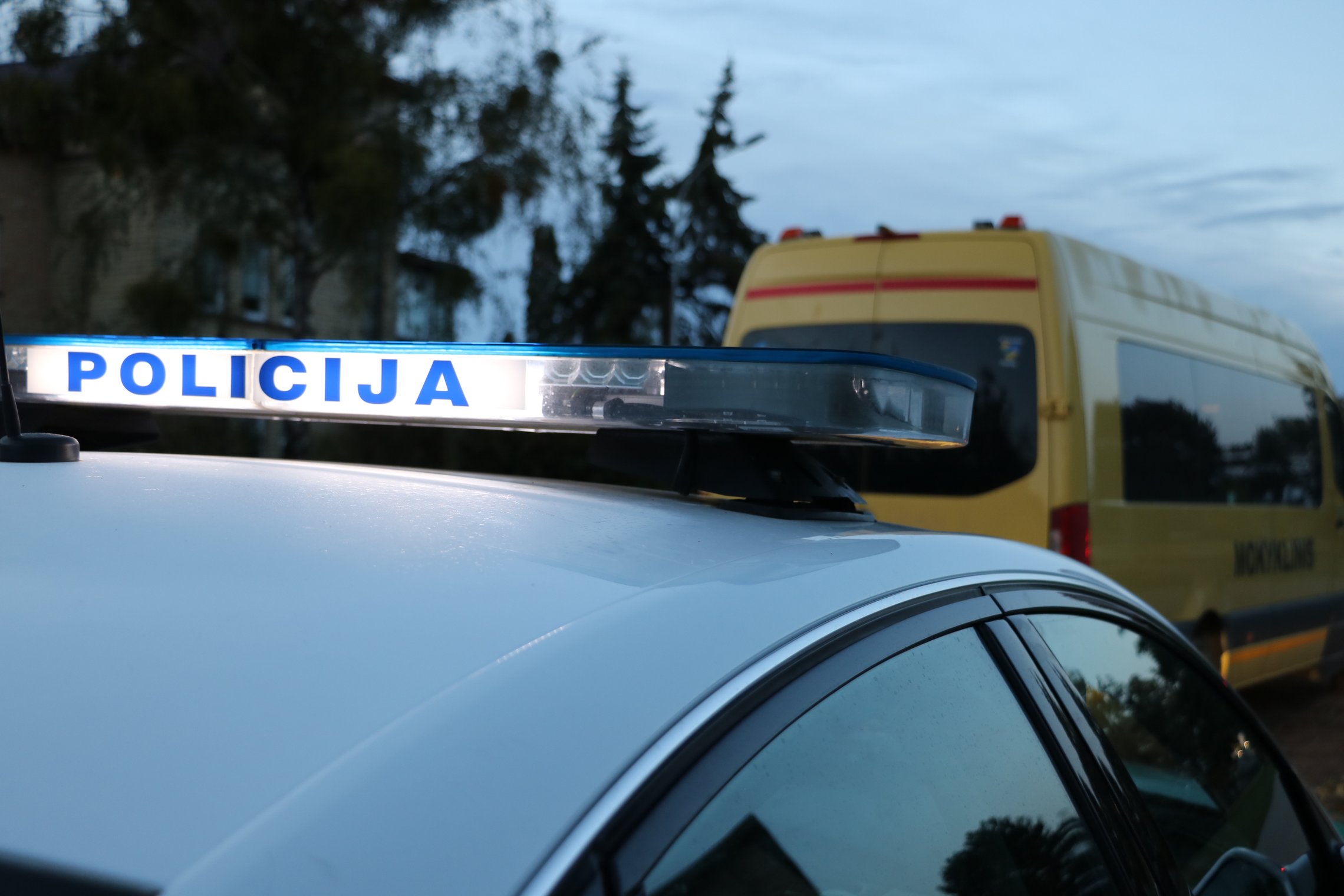 Iliustracija