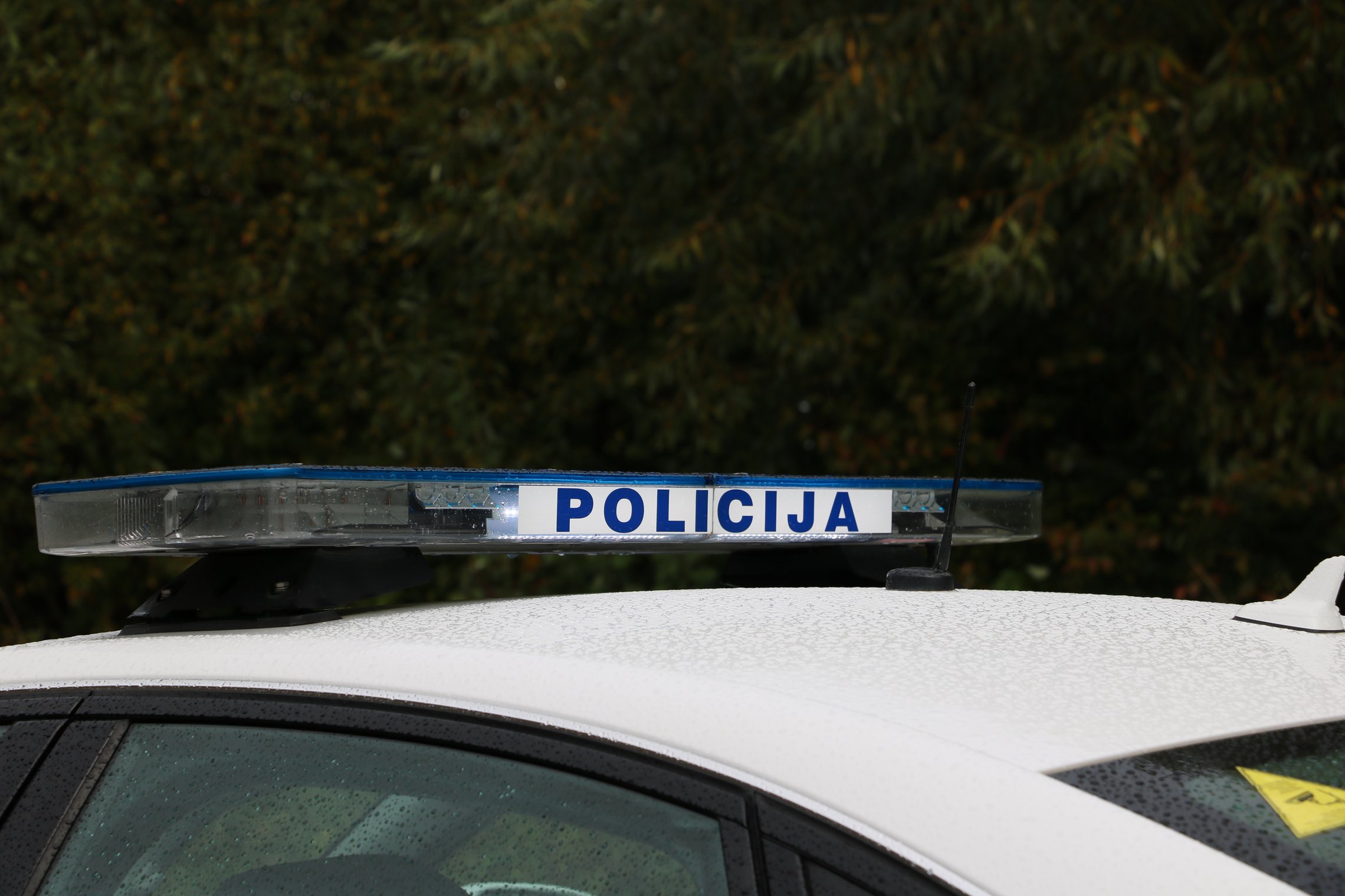 Iliustracija