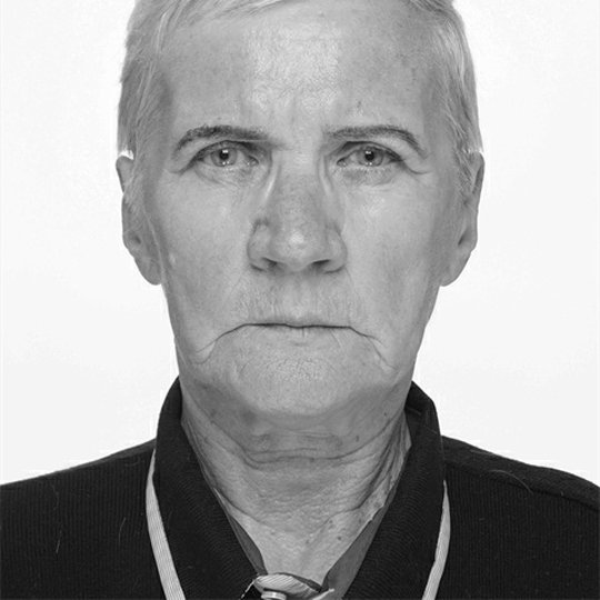 Iliustracija
